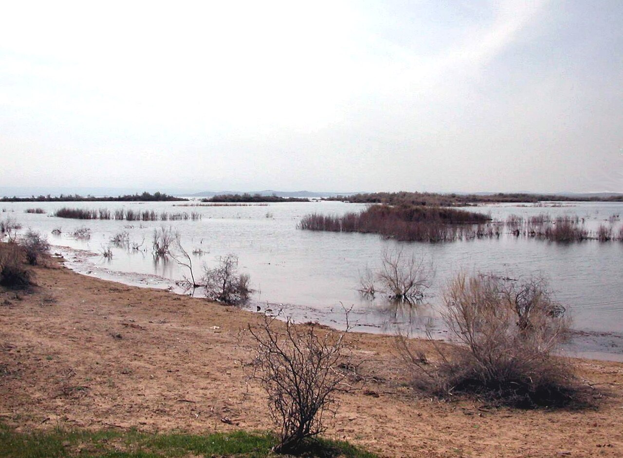 Rives du lac Aydarkul