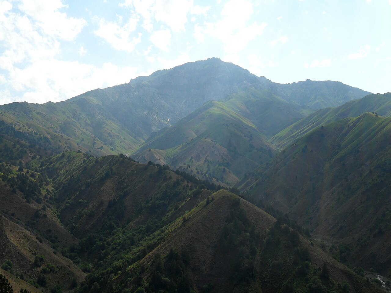 Collines vertes de montagne