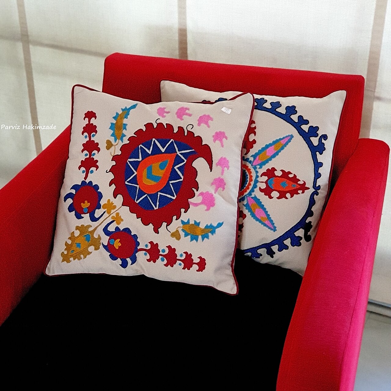 Coussins brodés en suzani