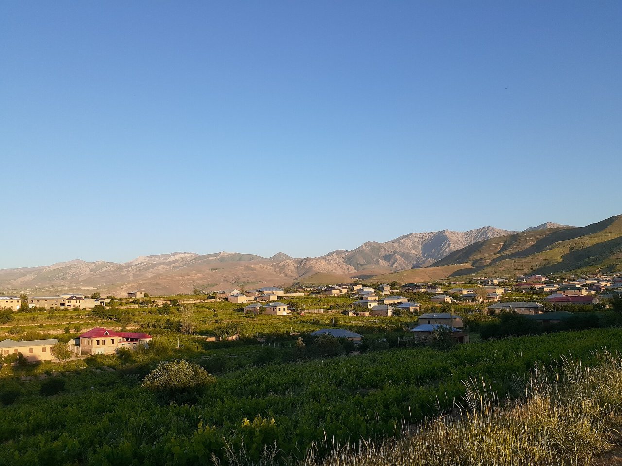 Vignoble au pied des montagnes dans la province de Samarcande